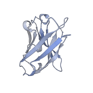 27789_8dz5_A_v1-0
Cryo-EM structure of 364 Fab in complex with recombinant shortened Plasmodium falciparum circumsporozoite protein (rsCSP)
