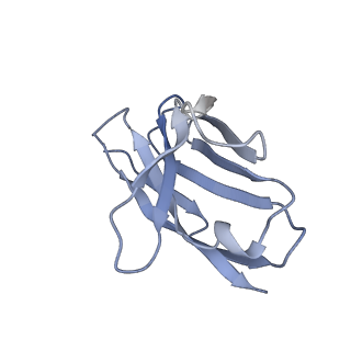 27789_8dz5_B_v1-0
Cryo-EM structure of 364 Fab in complex with recombinant shortened Plasmodium falciparum circumsporozoite protein (rsCSP)