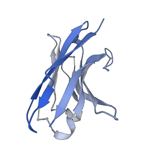 27789_8dz5_C_v1-0
Cryo-EM structure of 364 Fab in complex with recombinant shortened Plasmodium falciparum circumsporozoite protein (rsCSP)