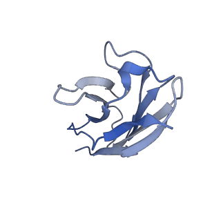 27789_8dz5_D_v1-0
Cryo-EM structure of 364 Fab in complex with recombinant shortened Plasmodium falciparum circumsporozoite protein (rsCSP)