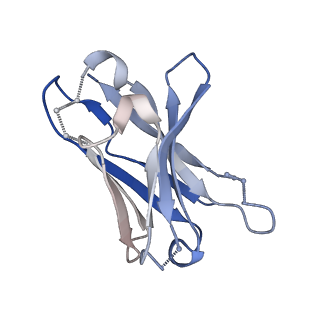 27789_8dz5_E_v1-0
Cryo-EM structure of 364 Fab in complex with recombinant shortened Plasmodium falciparum circumsporozoite protein (rsCSP)