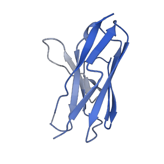 27789_8dz5_L_v1-0
Cryo-EM structure of 364 Fab in complex with recombinant shortened Plasmodium falciparum circumsporozoite protein (rsCSP)