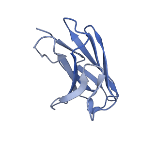 27789_8dz5_N_v1-0
Cryo-EM structure of 364 Fab in complex with recombinant shortened Plasmodium falciparum circumsporozoite protein (rsCSP)