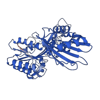 27795_8dze_A_v1-3
Cryo-EM structure of bundle-forming pilus extension ATPase from E. coli in the presence of AMP-PNP (class-1)