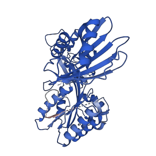 27795_8dze_B_v1-3
Cryo-EM structure of bundle-forming pilus extension ATPase from E. coli in the presence of AMP-PNP (class-1)