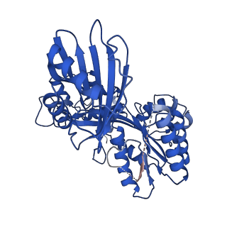 27795_8dze_C_v1-3
Cryo-EM structure of bundle-forming pilus extension ATPase from E. coli in the presence of AMP-PNP (class-1)