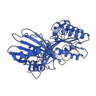 27795_8dze_D_v1-3
Cryo-EM structure of bundle-forming pilus extension ATPase from E. coli in the presence of AMP-PNP (class-1)