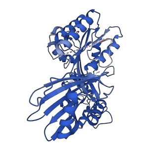 27795_8dze_E_v1-3
Cryo-EM structure of bundle-forming pilus extension ATPase from E. coli in the presence of AMP-PNP (class-1)