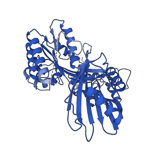 27795_8dze_F_v1-3
Cryo-EM structure of bundle-forming pilus extension ATPase from E. coli in the presence of AMP-PNP (class-1)