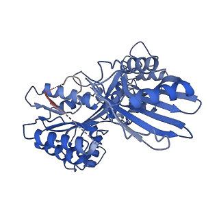 27796_8dzf_A_v1-3
Cryo-EM structure of bundle-forming pilus extension ATPase from E.coli in the presence of AMP-PNP (class-2)