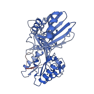 27796_8dzf_B_v1-3
Cryo-EM structure of bundle-forming pilus extension ATPase from E.coli in the presence of AMP-PNP (class-2)