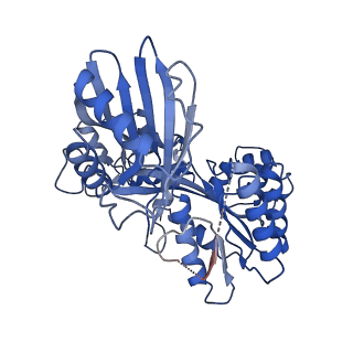 27796_8dzf_C_v1-3
Cryo-EM structure of bundle-forming pilus extension ATPase from E.coli in the presence of AMP-PNP (class-2)