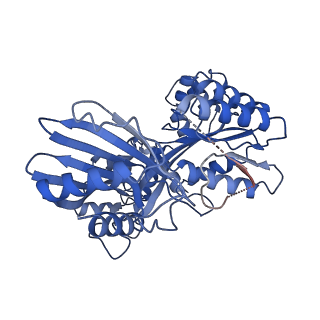 27796_8dzf_D_v1-3
Cryo-EM structure of bundle-forming pilus extension ATPase from E.coli in the presence of AMP-PNP (class-2)