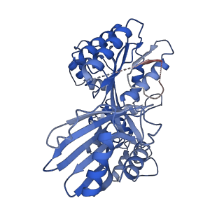 27796_8dzf_E_v1-3
Cryo-EM structure of bundle-forming pilus extension ATPase from E.coli in the presence of AMP-PNP (class-2)