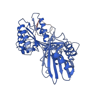 27796_8dzf_F_v1-3
Cryo-EM structure of bundle-forming pilus extension ATPase from E.coli in the presence of AMP-PNP (class-2)
