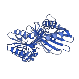 27797_8dzg_A_v1-3
Cryo-EM structure of bundle-forming pilus extension ATPase from E.coli in the presence of ADP