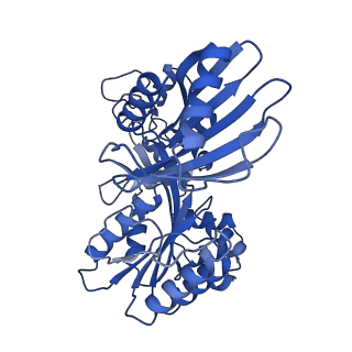27797_8dzg_B_v1-3
Cryo-EM structure of bundle-forming pilus extension ATPase from E.coli in the presence of ADP