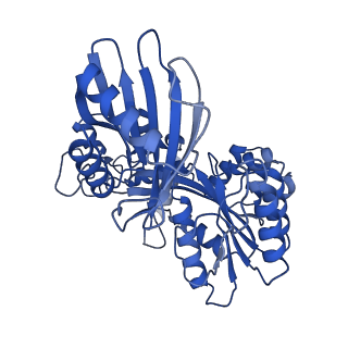 27797_8dzg_C_v1-3
Cryo-EM structure of bundle-forming pilus extension ATPase from E.coli in the presence of ADP
