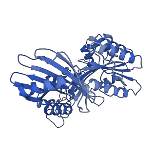 27797_8dzg_D_v1-3
Cryo-EM structure of bundle-forming pilus extension ATPase from E.coli in the presence of ADP