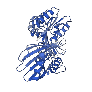 27797_8dzg_E_v1-3
Cryo-EM structure of bundle-forming pilus extension ATPase from E.coli in the presence of ADP