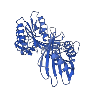 27797_8dzg_F_v1-3
Cryo-EM structure of bundle-forming pilus extension ATPase from E.coli in the presence of ADP