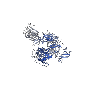 27798_8dzh_A_v1-2
Structure of SARS-CoV-2 Omicron BA.1.1.529 Spike trimer with two RBDs down in complex with the Fab fragment of human neutralizing antibody MB.02