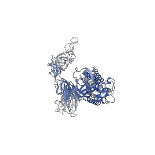 27798_8dzh_B_v1-2
Structure of SARS-CoV-2 Omicron BA.1.1.529 Spike trimer with two RBDs down in complex with the Fab fragment of human neutralizing antibody MB.02