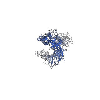 27798_8dzh_C_v1-2
Structure of SARS-CoV-2 Omicron BA.1.1.529 Spike trimer with two RBDs down in complex with the Fab fragment of human neutralizing antibody MB.02