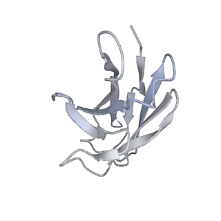27798_8dzh_D_v1-2
Structure of SARS-CoV-2 Omicron BA.1.1.529 Spike trimer with two RBDs down in complex with the Fab fragment of human neutralizing antibody MB.02