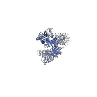 27799_8dzi_A_v1-2
Structure of SARS-CoV-2 Omicron BA.1.1.529 Spike trimer with one RBD down in complex with the Fab fragment of human neutralizing antibody MB.02