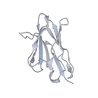 27799_8dzi_B_v1-2
Structure of SARS-CoV-2 Omicron BA.1.1.529 Spike trimer with one RBD down in complex with the Fab fragment of human neutralizing antibody MB.02