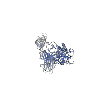 27799_8dzi_C_v1-2
Structure of SARS-CoV-2 Omicron BA.1.1.529 Spike trimer with one RBD down in complex with the Fab fragment of human neutralizing antibody MB.02