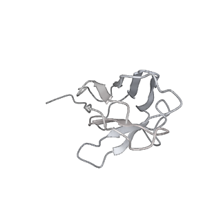 27799_8dzi_L_v1-2
Structure of SARS-CoV-2 Omicron BA.1.1.529 Spike trimer with one RBD down in complex with the Fab fragment of human neutralizing antibody MB.02
