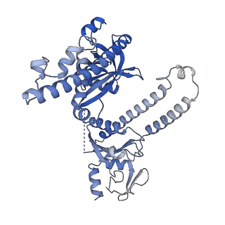 27801_8dzj_A_v1-1
Cryo-EM structure of Acidibacillus sulfuroxidans Cas12f in complex with sgRNA and target DNA