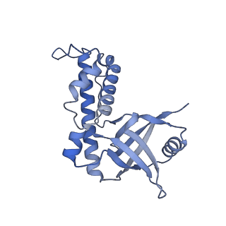 27801_8dzj_B_v1-1
Cryo-EM structure of Acidibacillus sulfuroxidans Cas12f in complex with sgRNA and target DNA