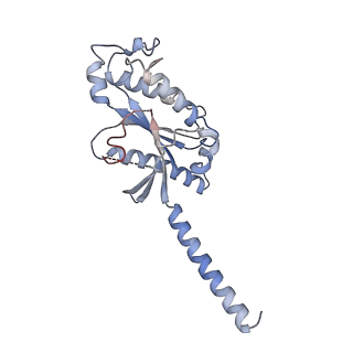 27804_8dzp_B_v1-2
momSalB bound Kappa Opioid Receptor in complex with Gi1