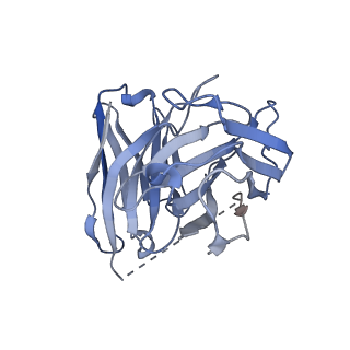 27804_8dzp_E_v1-2
momSalB bound Kappa Opioid Receptor in complex with Gi1