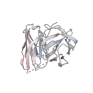 27805_8dzq_E_v1-3
momSalB bound Kappa Opioid Receptor in complex with GoA
