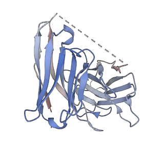 27806_8dzr_E_v1-3
GR89,696 bound Kappa Opioid Receptor in complex with gustducin
