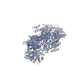27810_8dzz_A_v1-2
Cryo-EM structure of chi dynein bound to Lis1