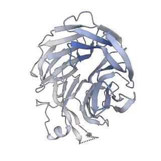 27810_8dzz_B_v1-2
Cryo-EM structure of chi dynein bound to Lis1