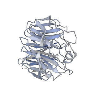 27810_8dzz_C_v1-2
Cryo-EM structure of chi dynein bound to Lis1