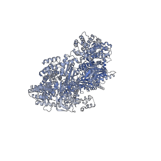 27810_8dzz_D_v1-2
Cryo-EM structure of chi dynein bound to Lis1
