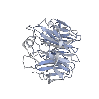 27810_8dzz_F_v1-2
Cryo-EM structure of chi dynein bound to Lis1