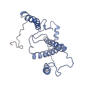 30925_7dz7_2_v2-1
State transition supercomplex PSI-LHCI-LHCII from double phosphatase mutant pph1;pbcp of green alga Chlamydomonas reinhardtii
