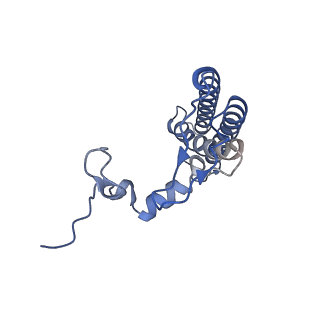 30925_7dz7_L_v1-0
State transition supercomplex PSI-LHCI-LHCII from double phosphatase mutant pph1;pbcp of green alga Chlamydomonas reinhardtii