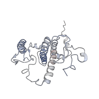30925_7dz7_U_v1-0
State transition supercomplex PSI-LHCI-LHCII from double phosphatase mutant pph1;pbcp of green alga Chlamydomonas reinhardtii