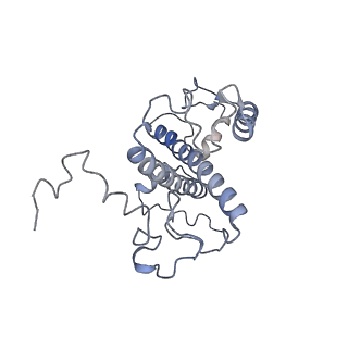 30925_7dz7_V_v1-0
State transition supercomplex PSI-LHCI-LHCII from double phosphatase mutant pph1;pbcp of green alga Chlamydomonas reinhardtii