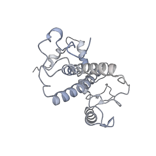 30925_7dz7_W_v1-0
State transition supercomplex PSI-LHCI-LHCII from double phosphatase mutant pph1;pbcp of green alga Chlamydomonas reinhardtii