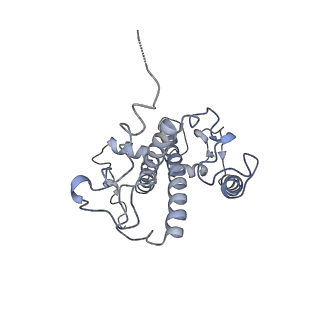 30925_7dz7_Z_v1-0
State transition supercomplex PSI-LHCI-LHCII from double phosphatase mutant pph1;pbcp of green alga Chlamydomonas reinhardtii